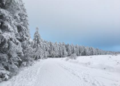 sneeuw hoge venen